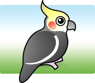 cockatiel.jpg